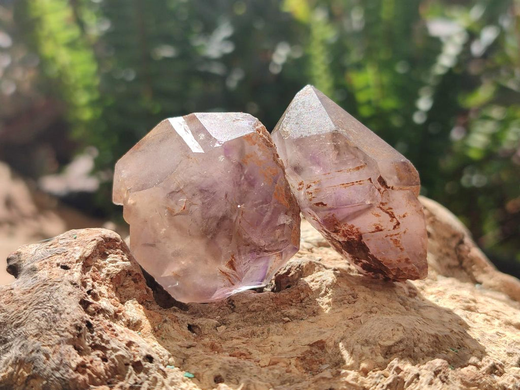 Natural Window Amethyst Crystals x 35 From Ambatondrazaka, Madagascar - Toprock Gemstones and Minerals 