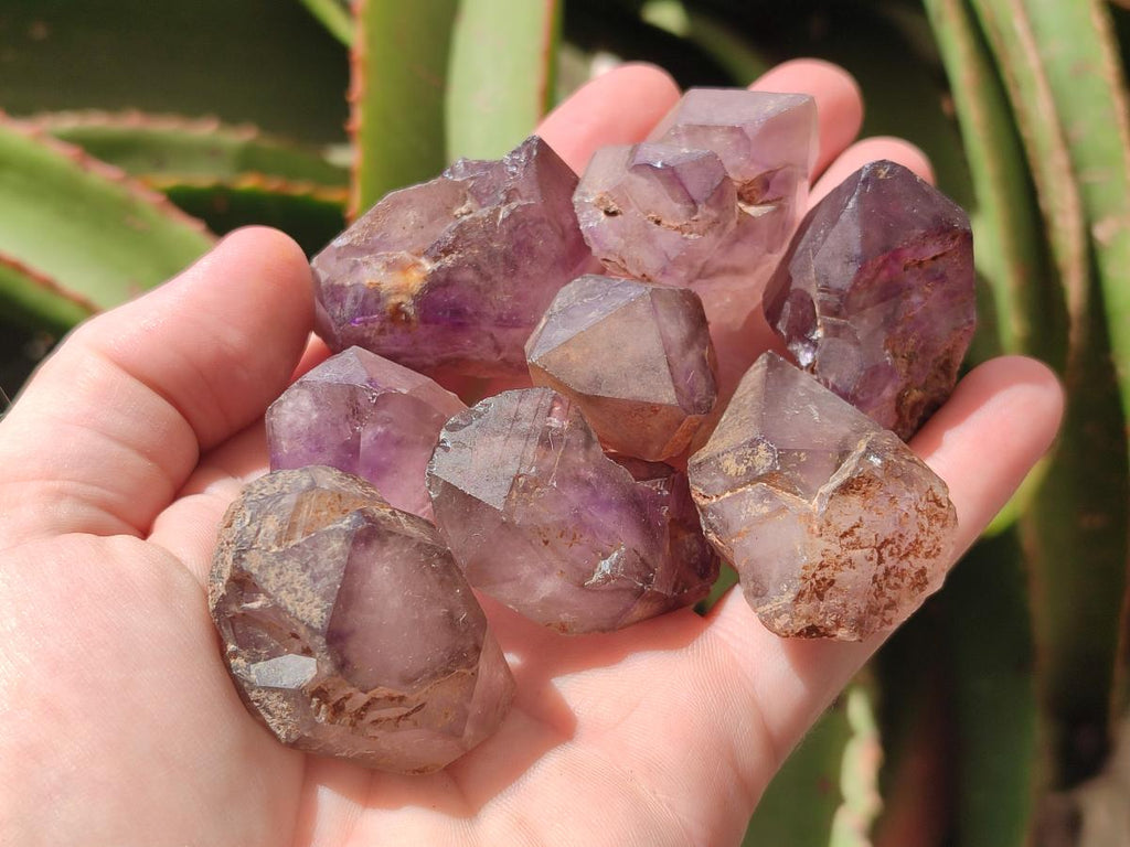 Natural Window Amethyst Crystals x 35 From Ambatondrazaka, Madagascar - Toprock Gemstones and Minerals 