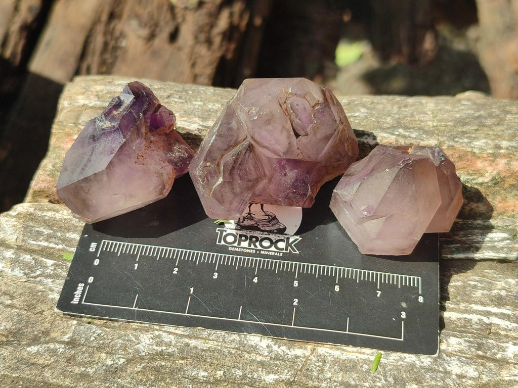Natural Window Amethyst Crystals x 35 From Ambatondrazaka, Madagascar - Toprock Gemstones and Minerals 