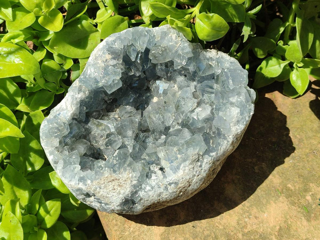 Natural Large Blue Celestite Geode Cluster Specimen x 1 From Sakoany, Madagascar - Toprock Gemstones and Minerals 