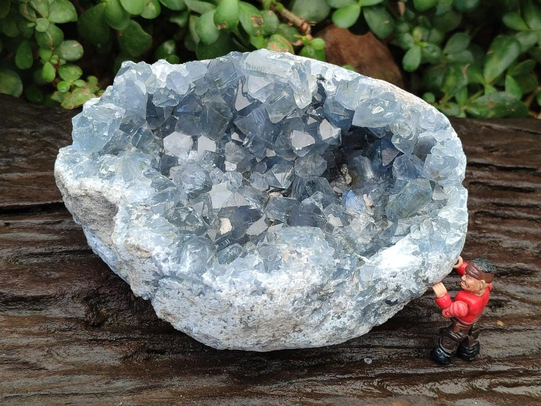 Natural Large Blue Celestite Geode Cluster Specimen x 1 From Sakoany, Madagascar