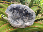 Natural Large Blue Celestite Geode Cluster Specimen x 1 From Sakoany, Madagascar - Toprock Gemstones and Minerals 