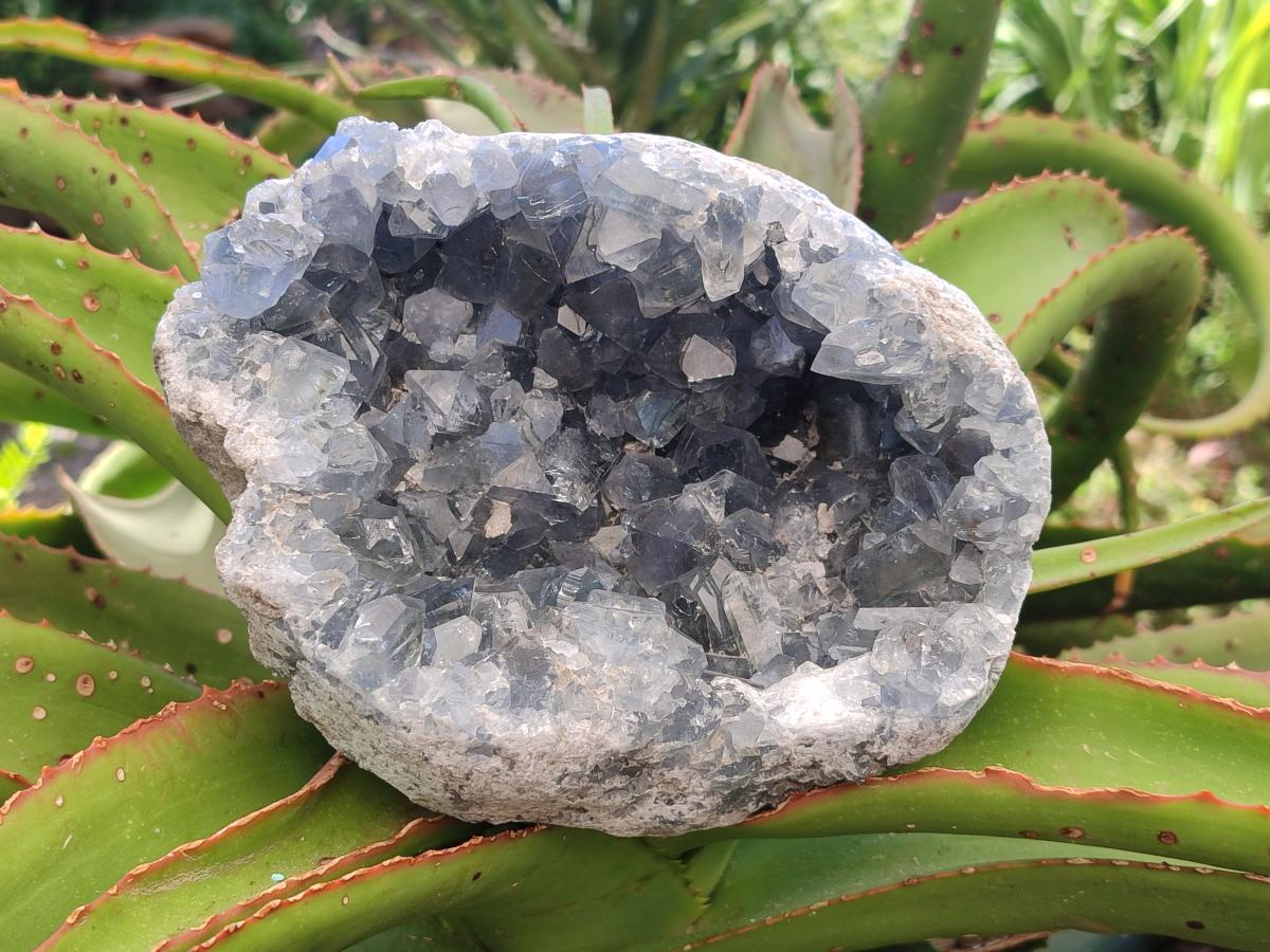 Natural Large Blue Celestite Geode Cluster Specimen x 1 From Sakoany, Madagascar - Toprock Gemstones and Minerals 