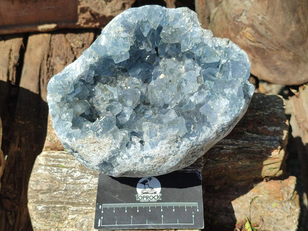 Natural Large Blue Celestite Geode Cluster Specimen x 1 From Sakoany, Madagascar - Toprock Gemstones and Minerals 
