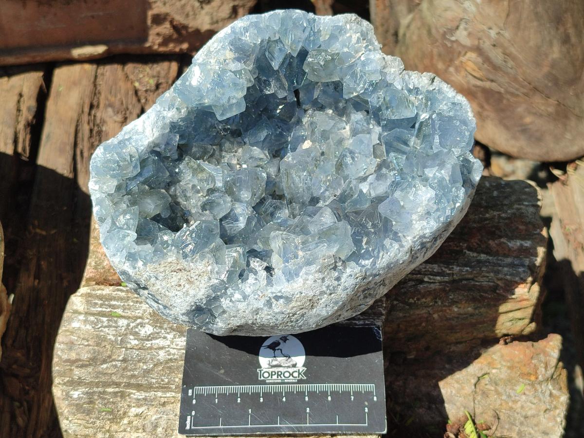 Natural Large Blue Celestite Geode Cluster Specimen x 1 From Sakoany, Madagascar - Toprock Gemstones and Minerals 
