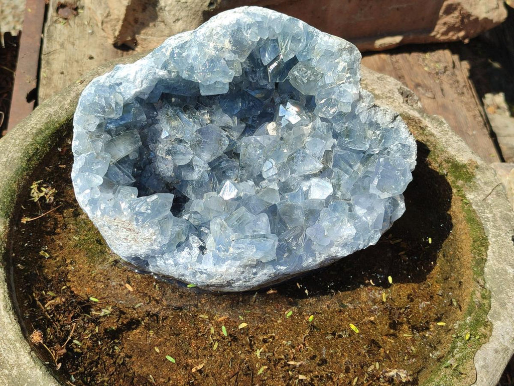 Natural Large Blue Celestite Geode Cluster Specimen x 1 From Sakoany, Madagascar - Toprock Gemstones and Minerals 