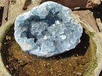 Natural Large Blue Celestite Geode Cluster Specimen x 1 From Sakoany, Madagascar - Toprock Gemstones and Minerals 