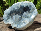 Natural Large Blue Celestite Geode Cluster Specimen x 1 From Sakoany, Madagascar - Toprock Gemstones and Minerals 