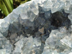 Natural Large Blue Celestite Geode Cluster Specimen x 1 From Sakoany, Madagascar - Toprock Gemstones and Minerals 