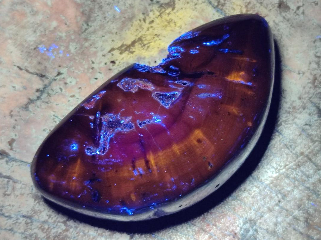Polished Dadoxylon Petrified Wood Palm Stones x 6 From Gokwe, Zimbabwe