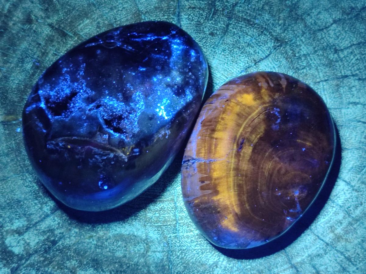 Polished Dadoxylon Petrified Wood Palm Stones x 6 From Gokwe, Zimbabwe - Toprock Gemstones and Minerals 