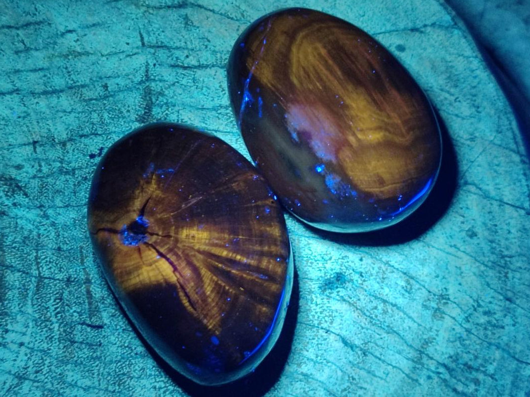 Polished Dadoxylon Petrified Wood Palm Stones x 6 From Gokwe, Zimbabwe - Toprock Gemstones and Minerals 