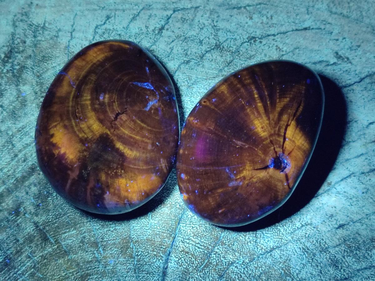Polished Dadoxylon Petrified Wood Palm Stones x 6 From Gokwe, Zimbabwe - Toprock Gemstones and Minerals 