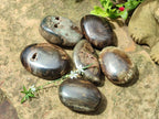 Polished Dadoxylon Petrified Wood Palm Stones x 6 From Gokwe, Zimbabwe - Toprock Gemstones and Minerals 