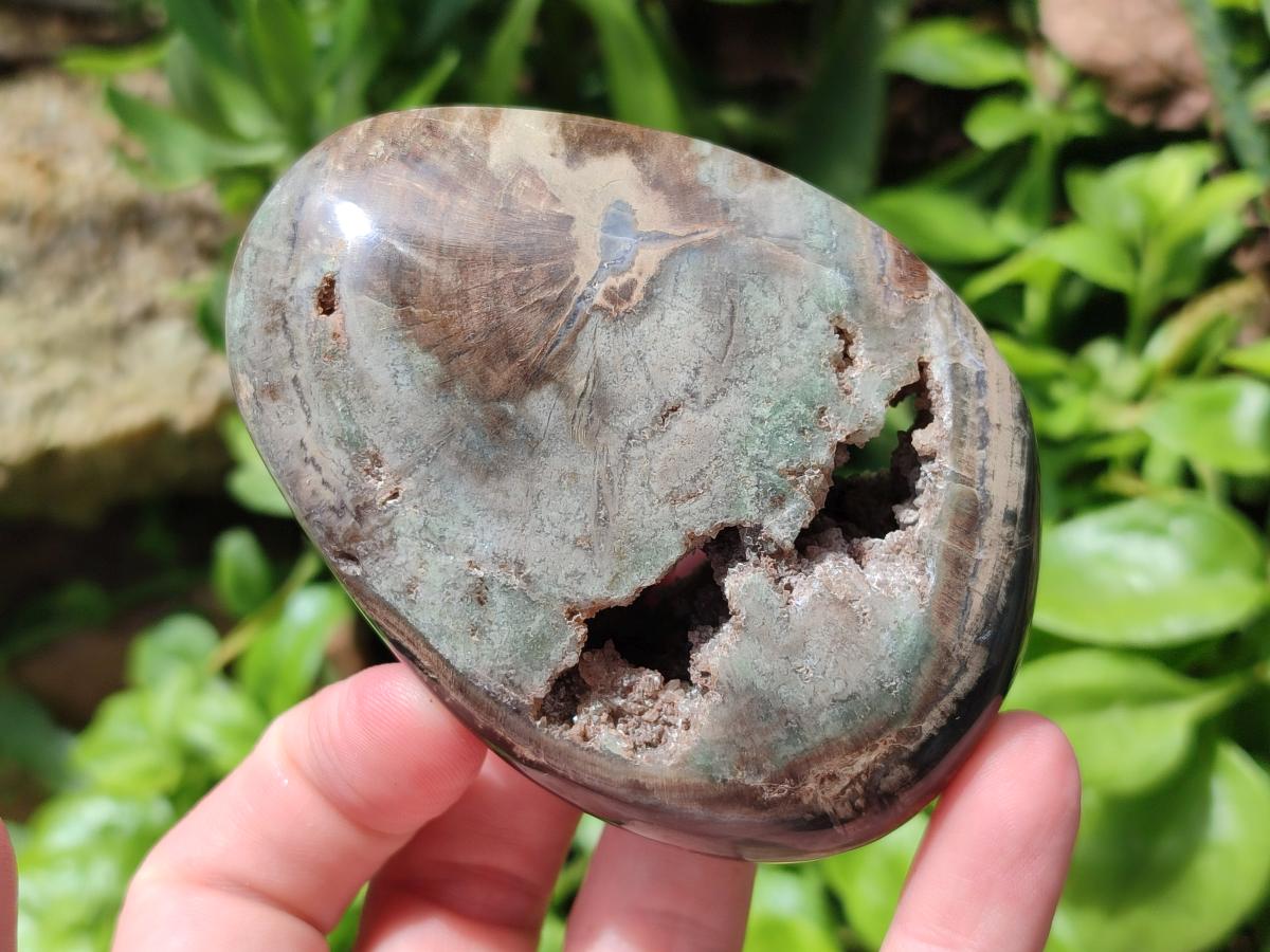 Polished Dadoxylon Petrified Wood Palm Stones x 6 From Gokwe, Zimbabwe - Toprock Gemstones and Minerals 