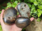 Polished Dadoxylon Petrified Wood Palm Stones x 6 From Gokwe, Zimbabwe - Toprock Gemstones and Minerals 