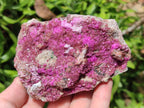 Natural Salrose Cobaltoan Dolomite With Kolwezite Specimens x 4 From Kakanda, Congo - Toprock Gemstones and Minerals 