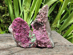 Natural Salrose Cobaltoan Dolomite With Kolwezite Specimens x 4 From Kakanda, Congo - Toprock Gemstones and Minerals 