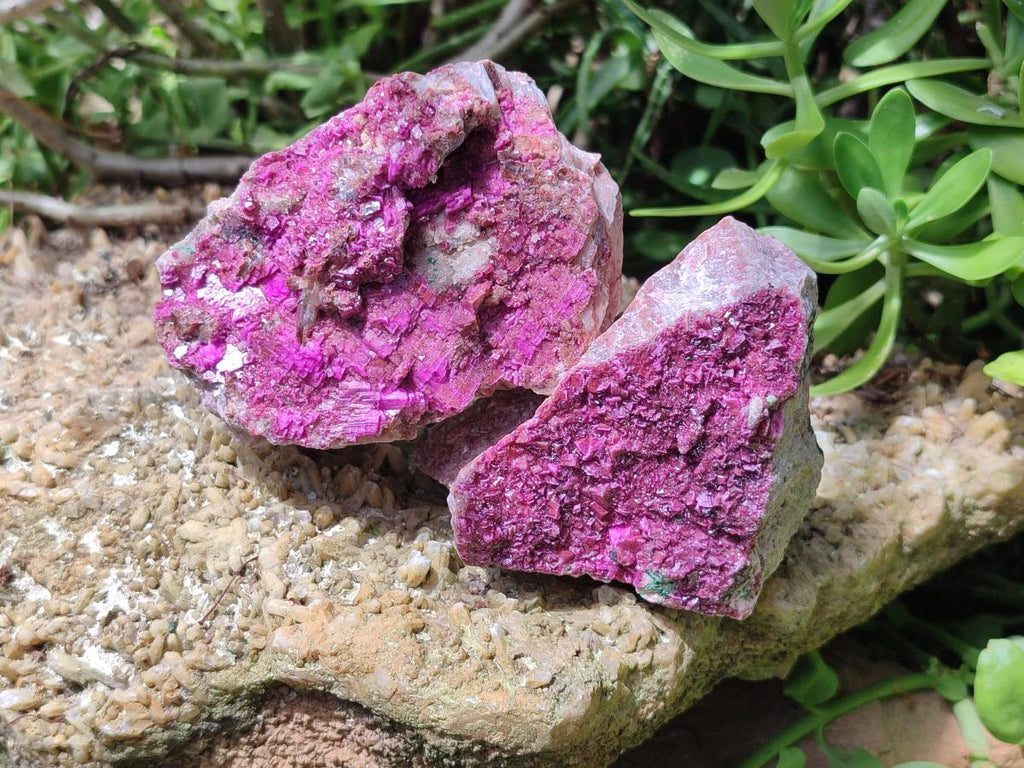 Natural Salrose Cobaltoan Dolomite With Kolwezite Specimens x 4 From Kakanda, Congo - Toprock Gemstones and Minerals 