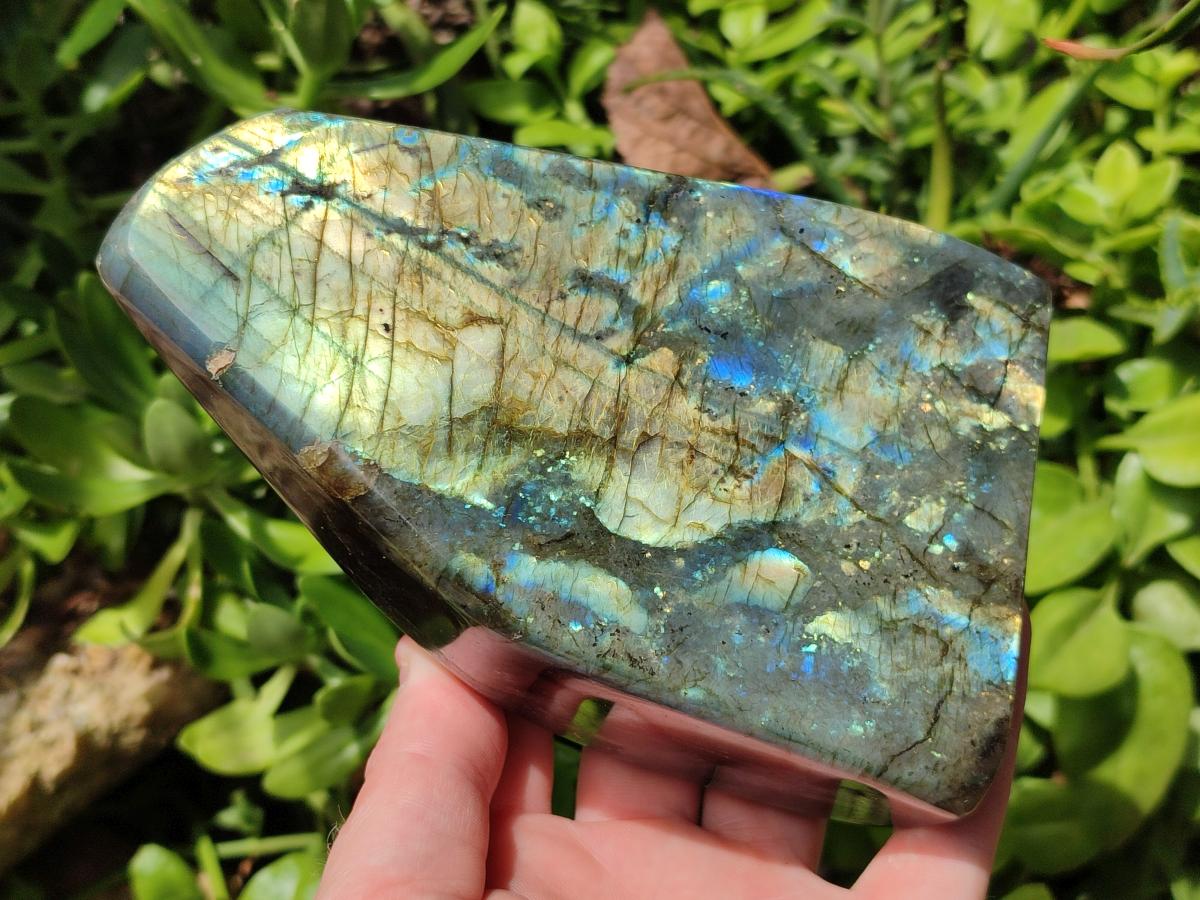 Polished Labradorite Standing Free Forms x 2 From Madagascar