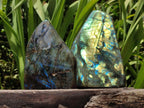 Polished Labradorite Standing Free Forms x 2 From Madagascar