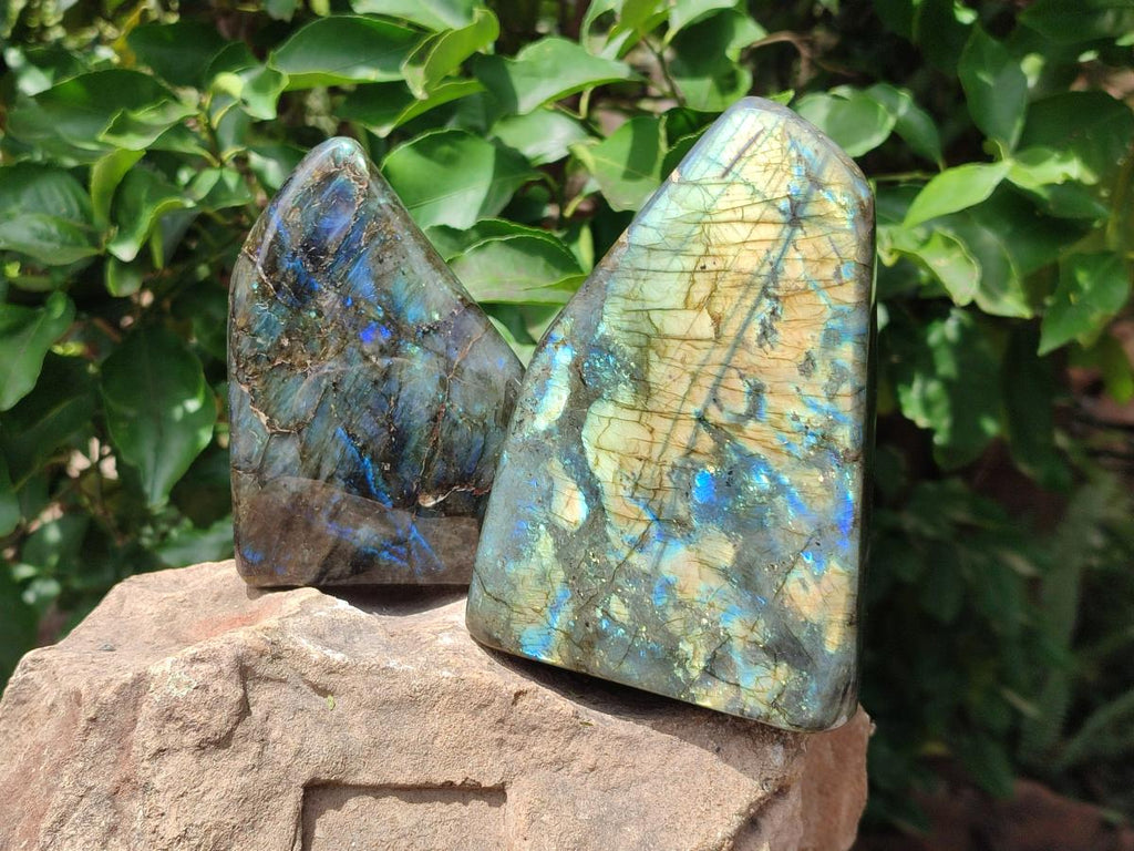 Polished Labradorite Standing Free Forms x 2 From Madagascar
