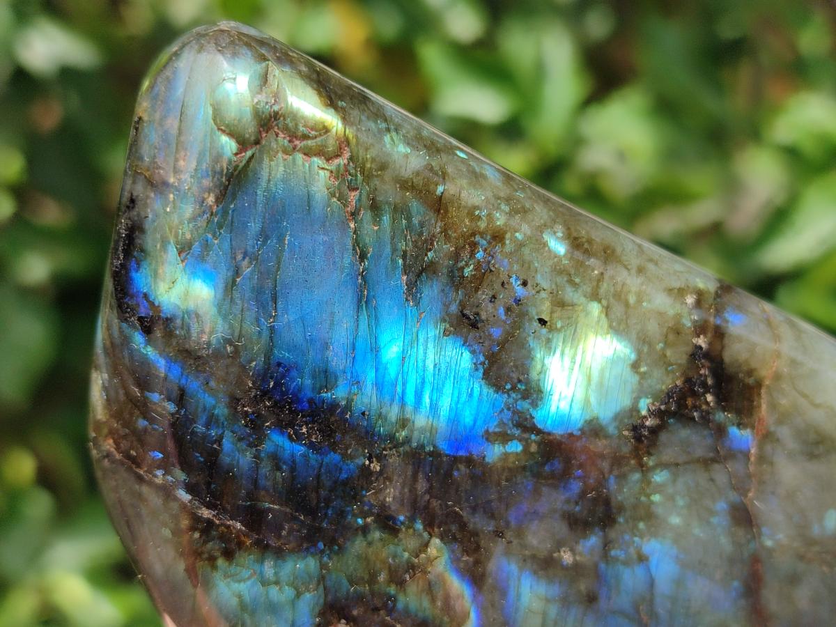 Polished Labradorite Standing Free Forms x 2 From Madagascar
