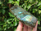Polished Labradorite Standing Free Forms x 2 From Madagascar
