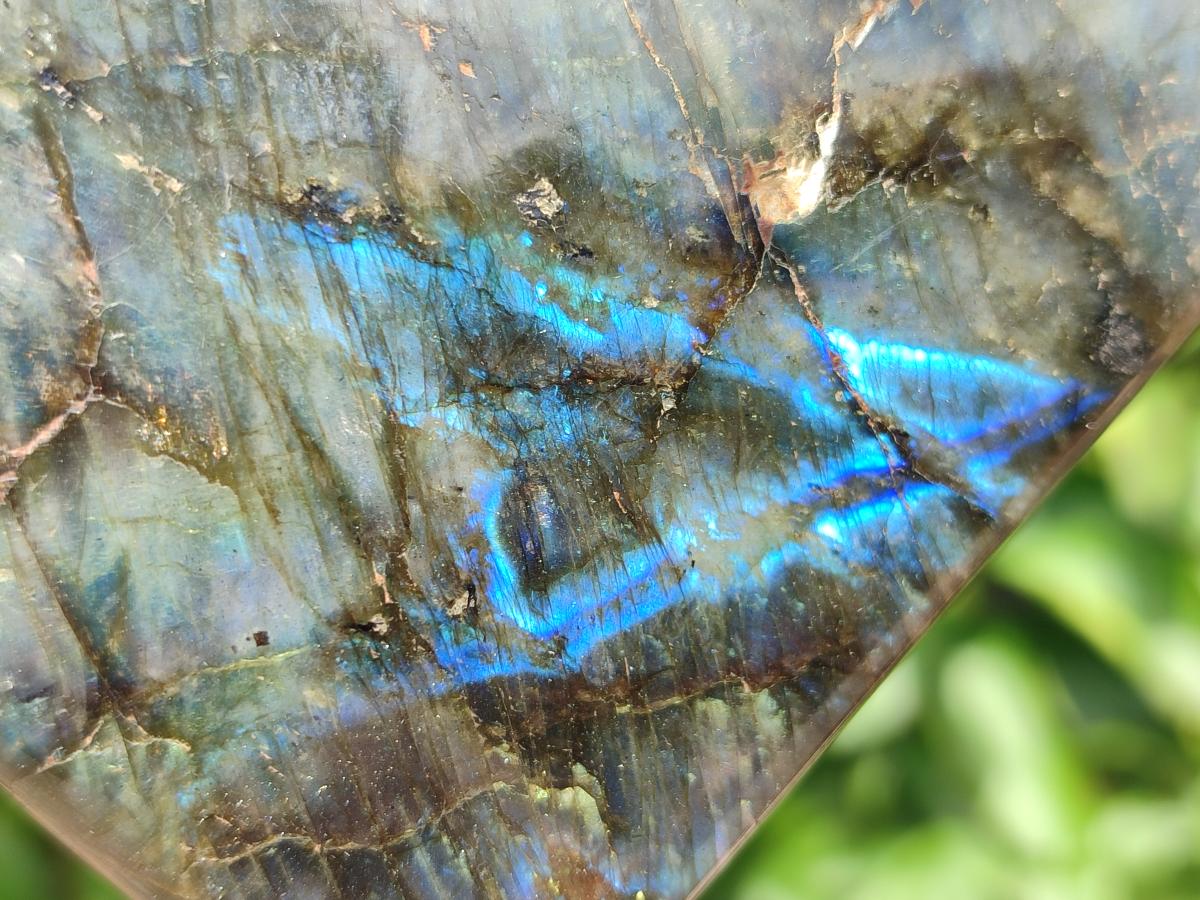 Polished Labradorite Standing Free Forms x 2 From Madagascar