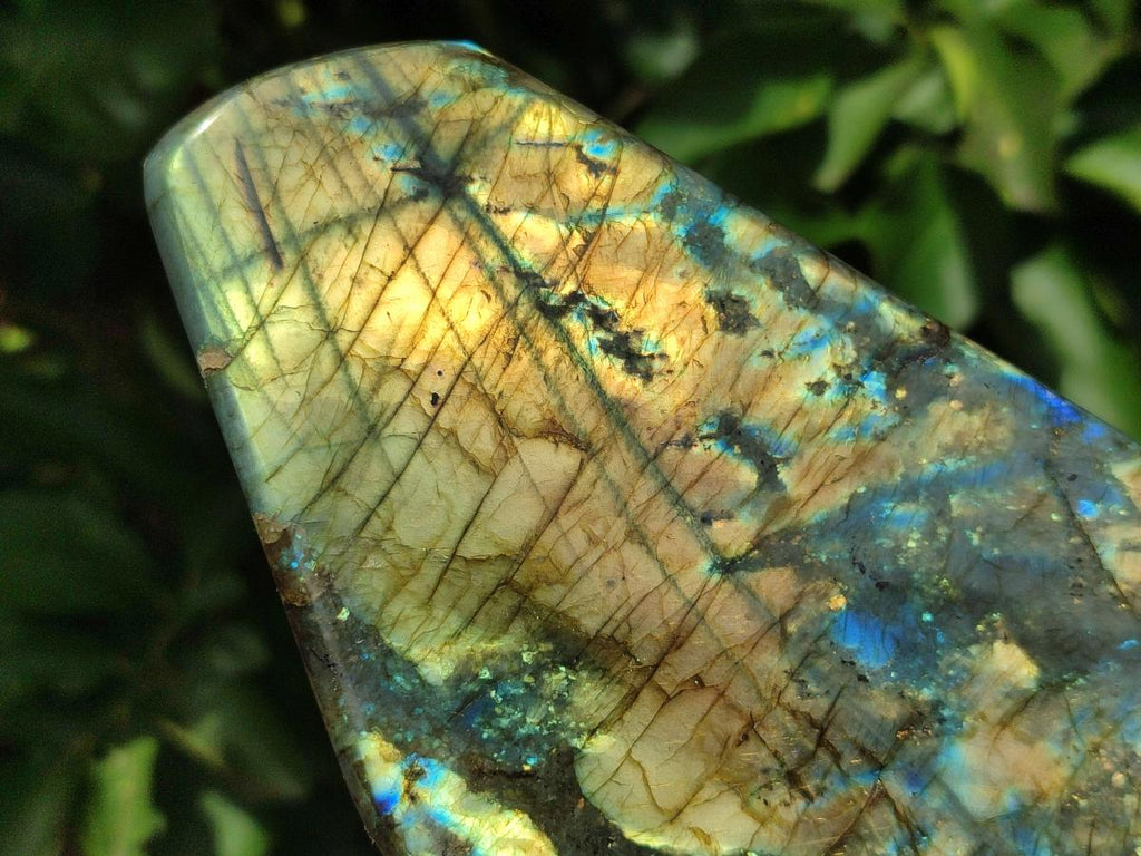 Polished Labradorite Standing Free Forms x 2 From Madagascar