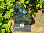 Polished Labradorite Standing Free Forms x 2 From Madagascar