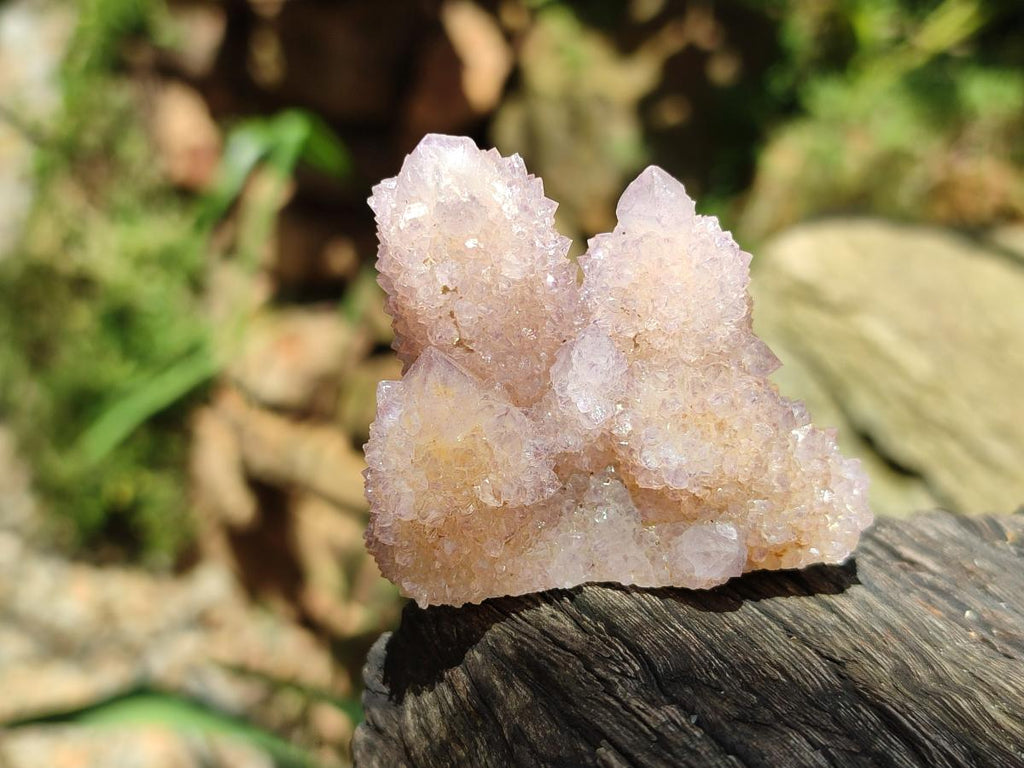 Natural Mixed Spirit Quartz Crystals And Clusters x 88 From Boekenhouthoek, South Africa - Toprock Gemstones and Minerals 