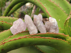 Natural Mixed Spirit Quartz Crystals And Clusters x 88 From Boekenhouthoek, South Africa - Toprock Gemstones and Minerals 