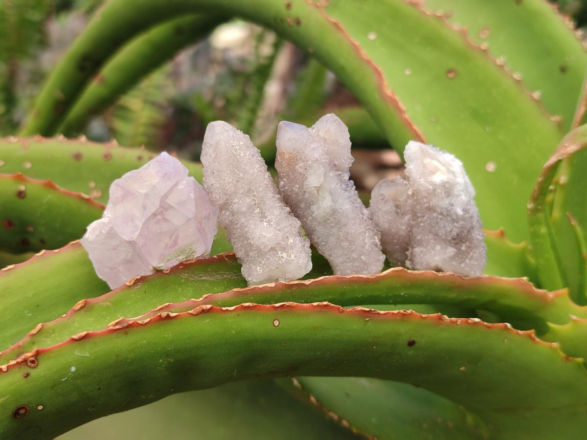Natural Mixed Spirit Quartz Crystals And Clusters x 88 From Boekenhouthoek, South Africa - Toprock Gemstones and Minerals 