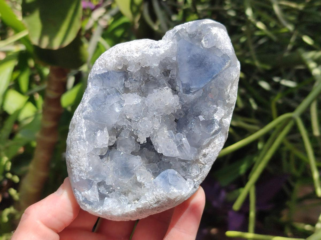 Natural Blue Celestite Geode Cluster Specimens x 2 From Sakoany, Madagascar - Toprock Gemstones and Minerals 