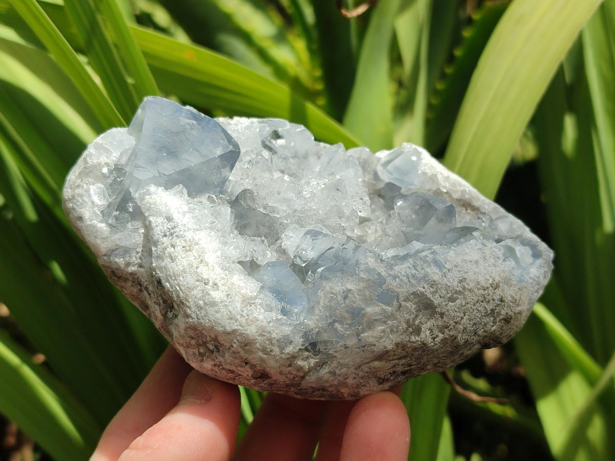 Natural Blue Celestite Geode Cluster Specimens x 2 From Sakoany, Madagascar - Toprock Gemstones and Minerals 