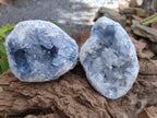 Natural Blue Celestite Geode Cluster Specimens x 2 From Sakoany, Madagascar - Toprock Gemstones and Minerals 