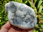 Natural Blue Celestite Geode Cluster Specimens x 2 From Sakoany, Madagascar - Toprock Gemstones and Minerals 