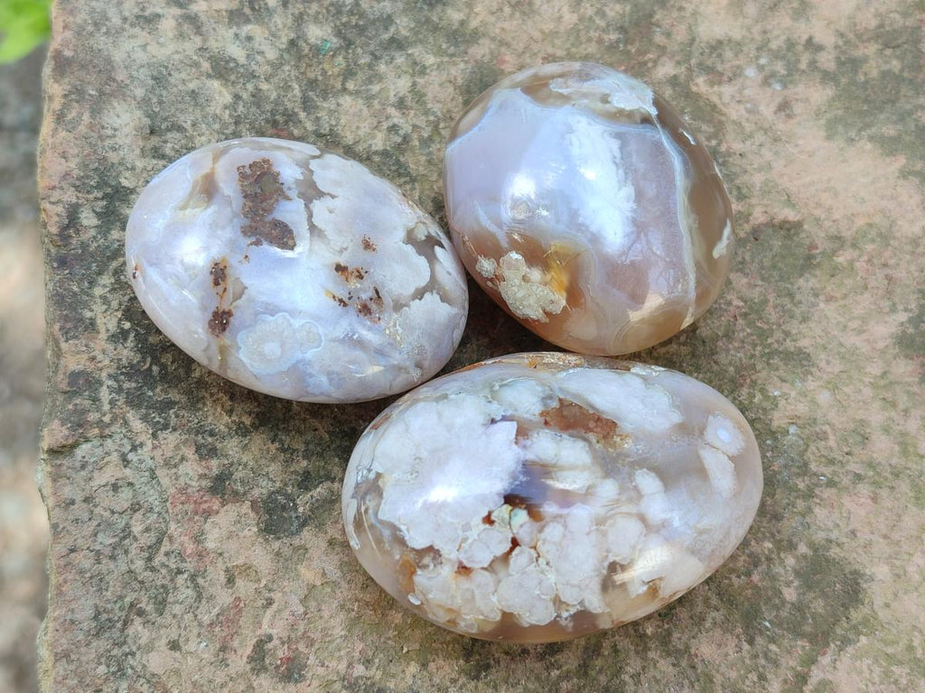 Polished Flower Agate Palm Stones x 20 From Antsahalova, Madagascar