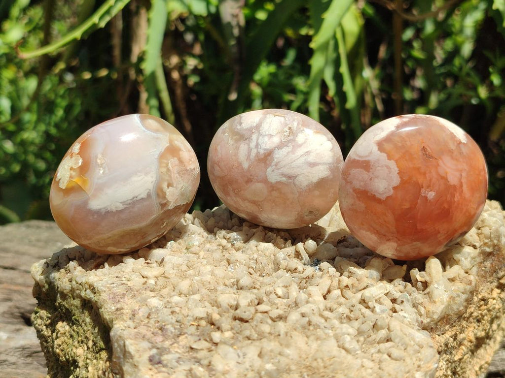 Polished Flower Agate Palm Stones x 20 From Antsahalova, Madagascar