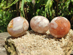 Polished Flower Agate Palm Stones x 20 From Antsahalova, Madagascar