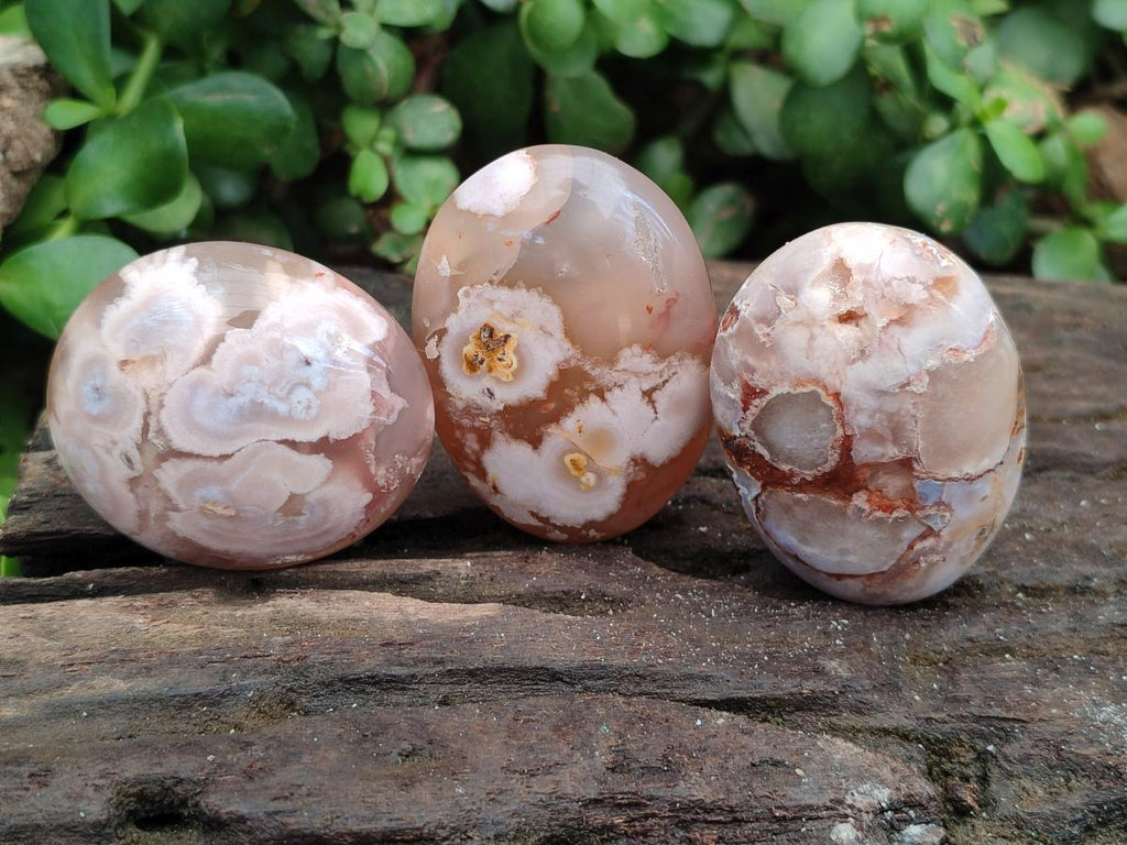 Polished Flower Agate Palm Stones x 20 From Antsahalova, Madagascar