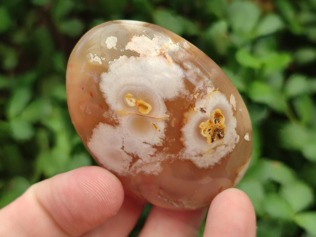 Polished Flower Agate Palm Stones x 20 From Antsahalova, Madagascar