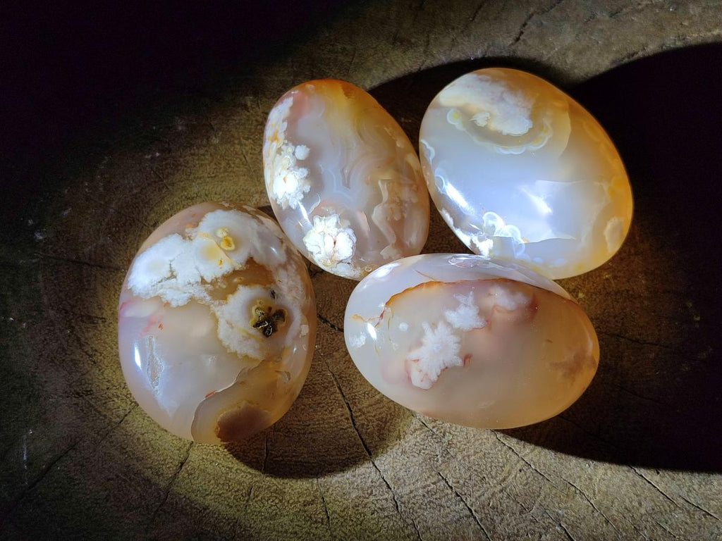 Polished Flower Agate Palm Stones x 20 From Antsahalova, Madagascar