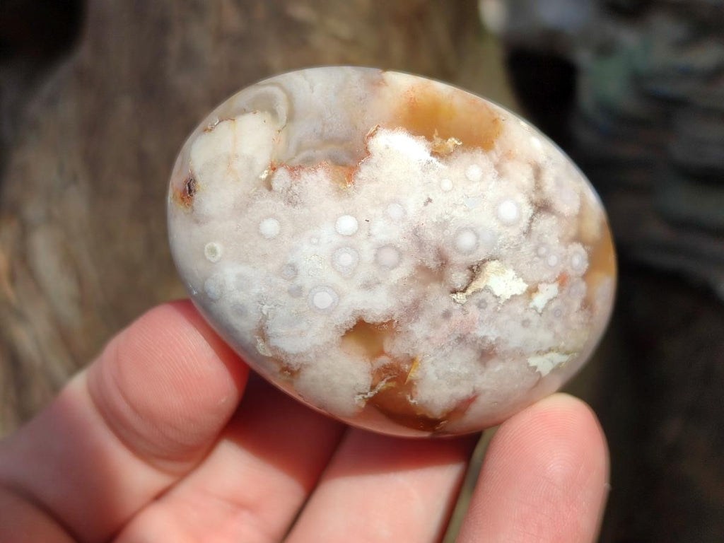 Polished Flower Agate Palm Stones x 20 From Antsahalova, Madagascar