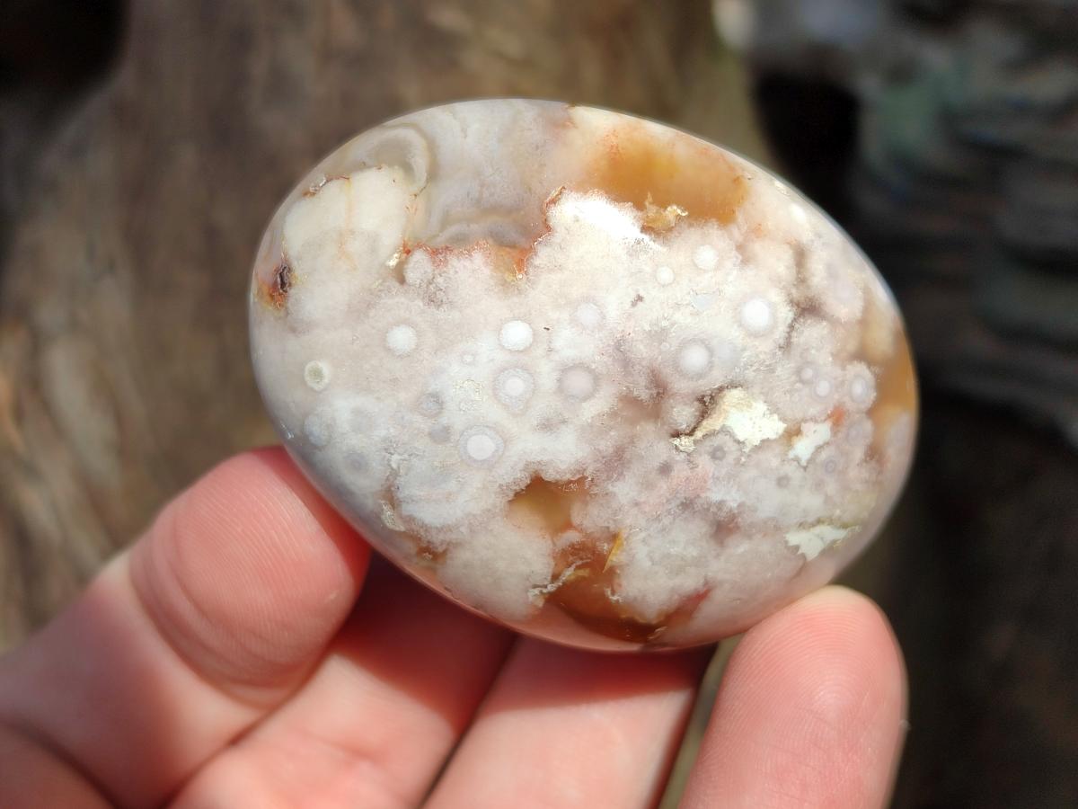 Polished Flower Agate Palm Stones x 20 From Antsahalova, Madagascar