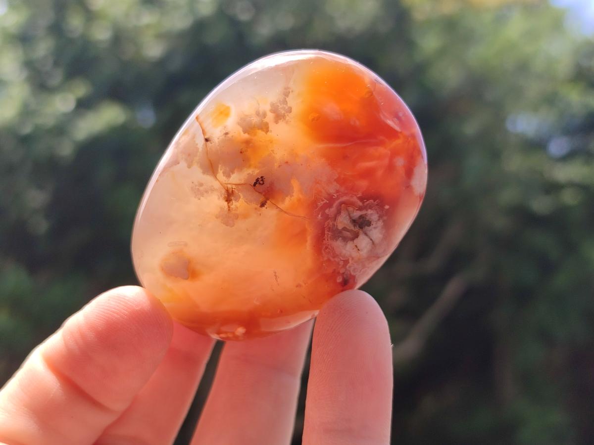 Polished Flower Agate Palm Stones x 20 From Antsahalova, Madagascar