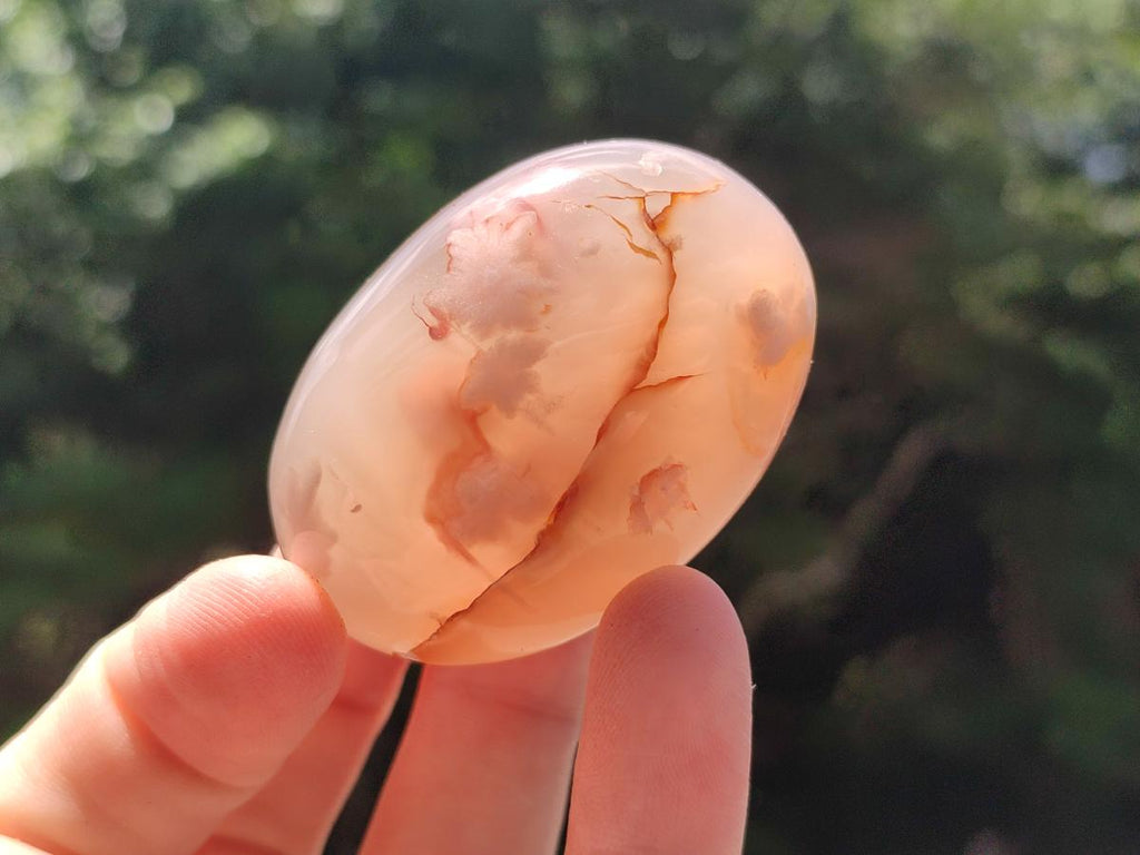 Polished Flower Agate Palm Stones x 20 From Antsahalova, Madagascar