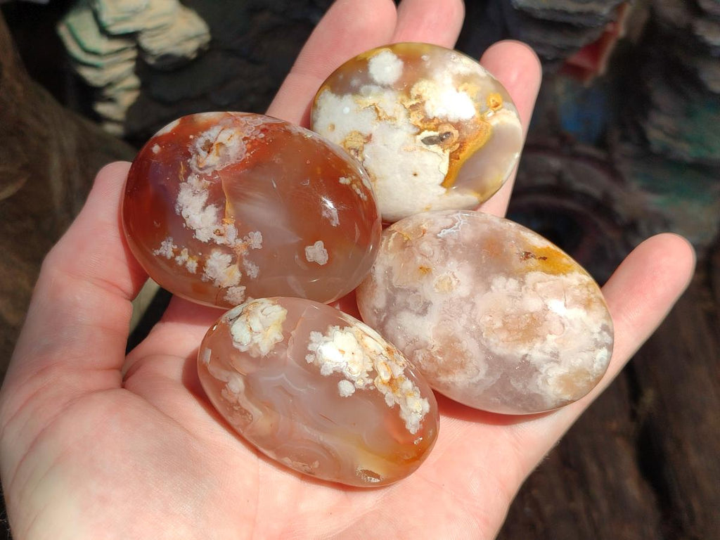 Polished Flower Agate Palm Stones x 20 From Antsahalova, Madagascar