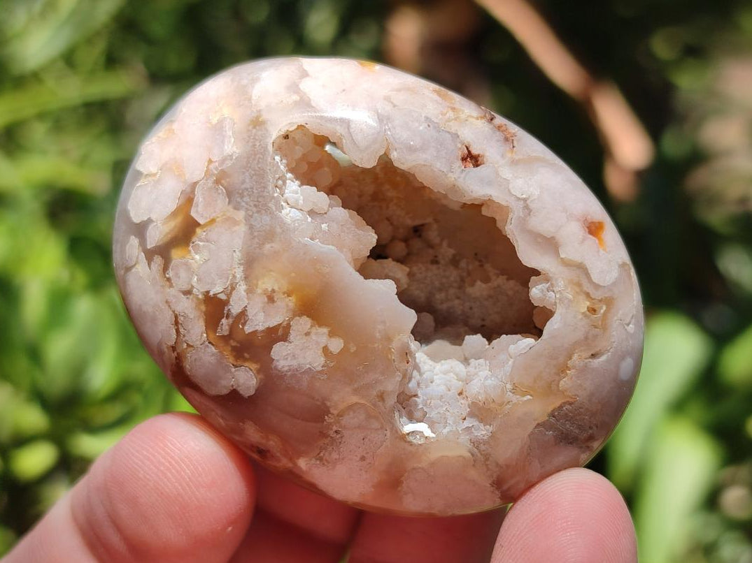 Polished Flower Agate Palm Stones x 20 From Antsahalova, Madagascar